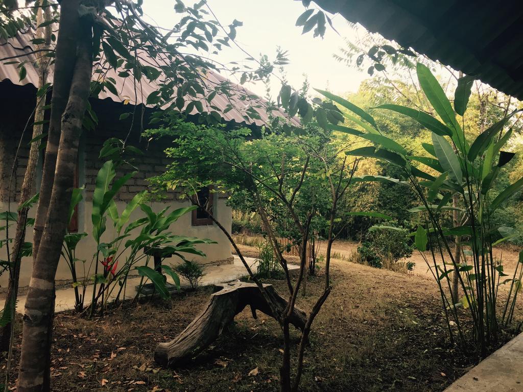 Monkey House Hotel Pai Luaran gambar