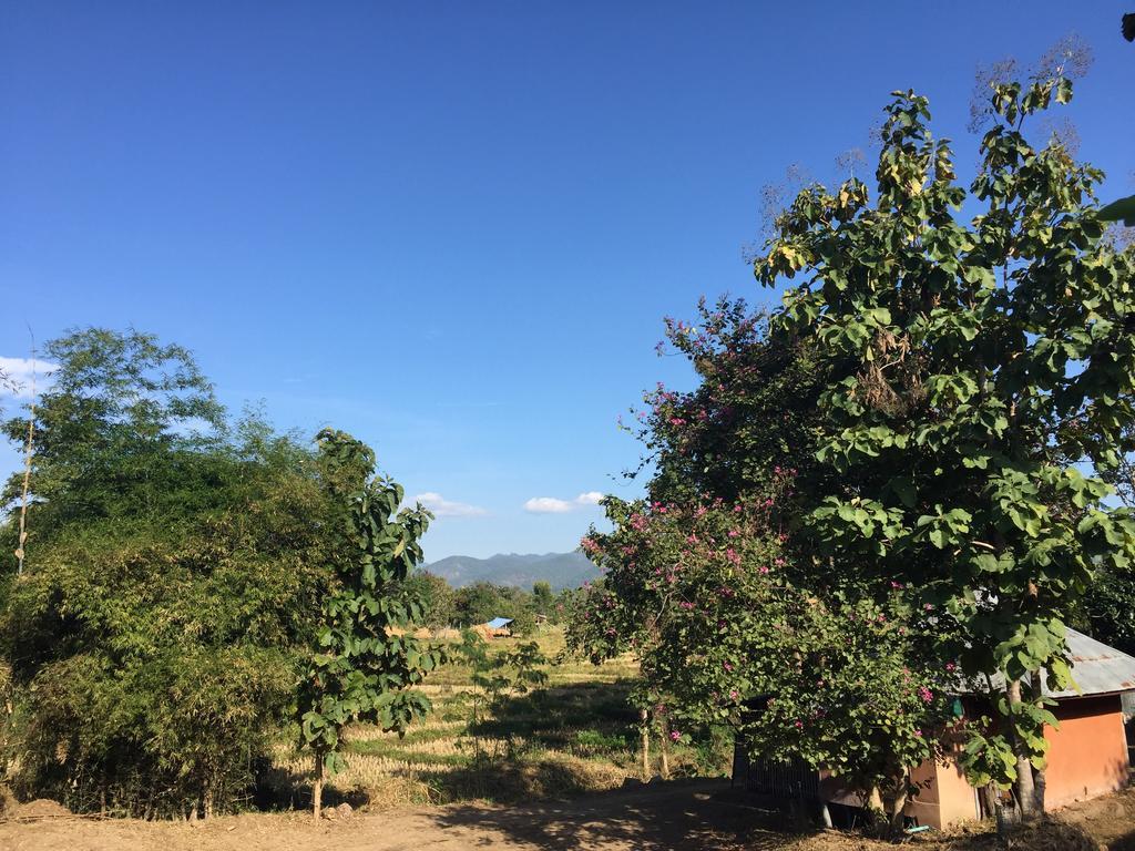 Monkey House Hotel Pai Luaran gambar