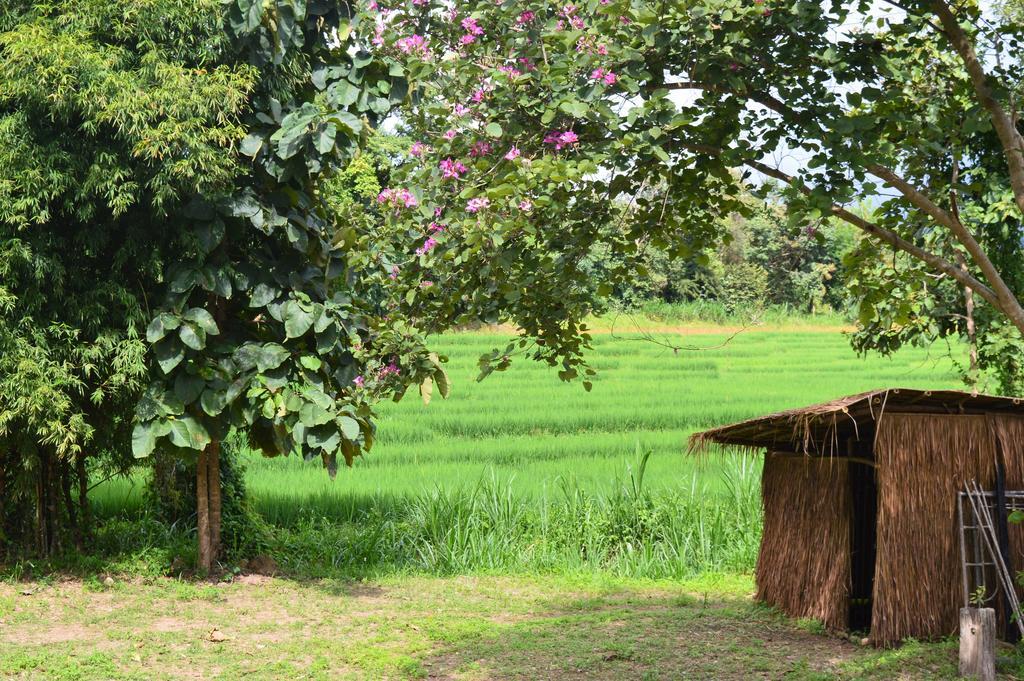 Monkey House Hotel Pai Luaran gambar